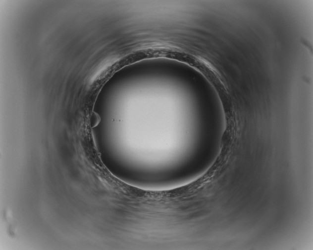 X0000099550775200805161451