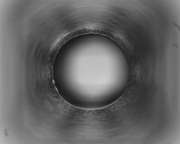 X0000099550776200805161451