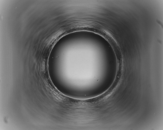 X0000099550777200805161451
