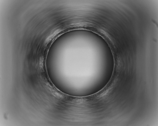 X0000099550778200805161451