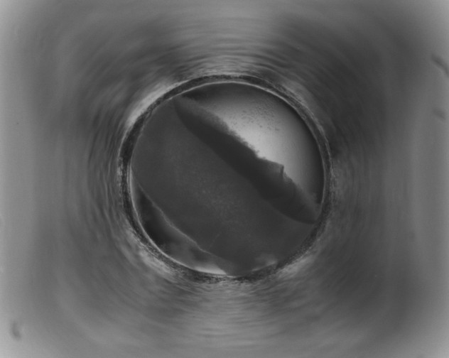 X0000099550779200805161451