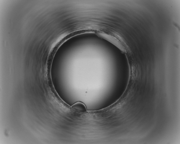 X0000099550780200805161451