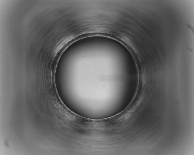 X0000099550781200805161451