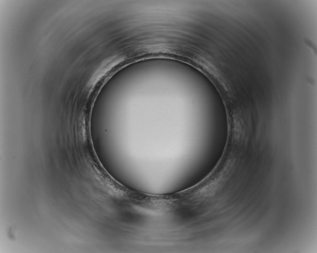 X0000099550782200805161451
