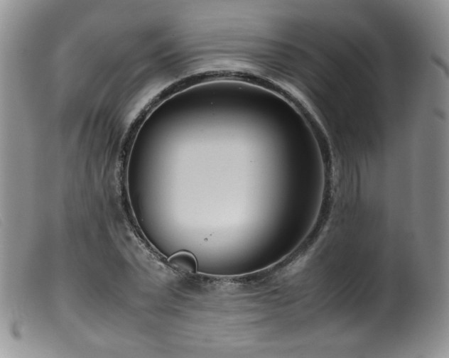 X0000099550783200805161451
