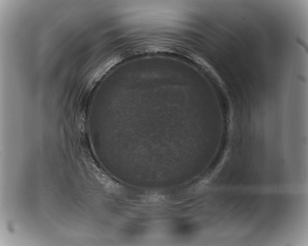 X0000099550785200805161451