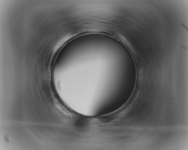 X0000099550787200805161451