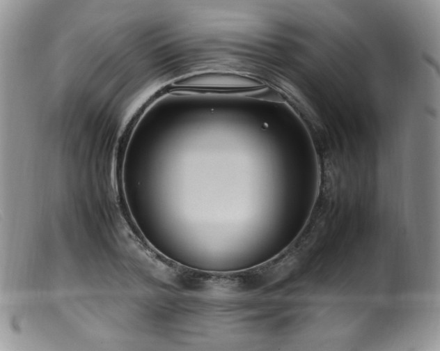 X0000099550788200805161451