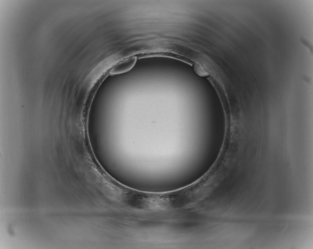 X0000099550789200805161451