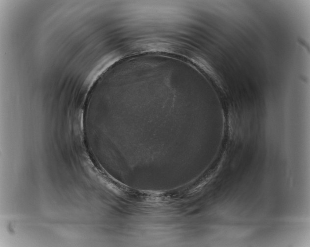 X0000099550790200805161451
