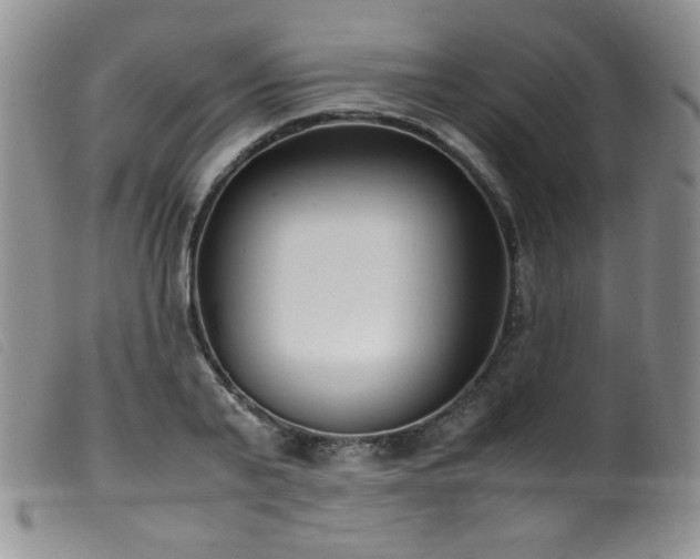 X0000099550791200805161451