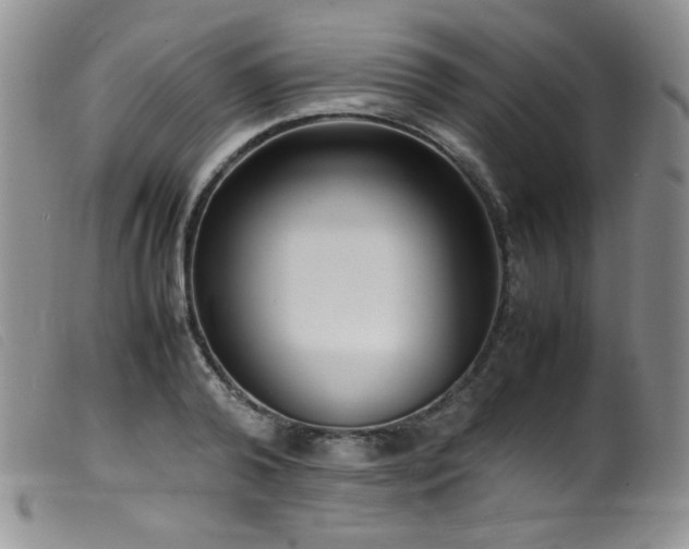 X0000099550792200805161451