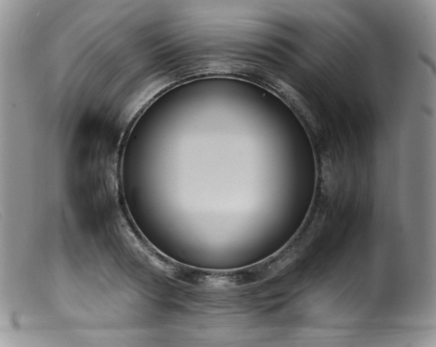 X0000099550794200805161451
