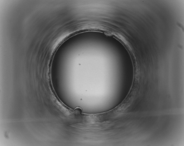 X0000099550799200805161451