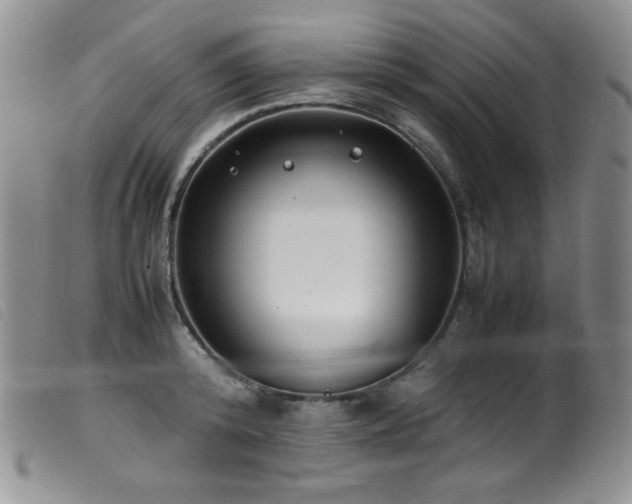 X0000099550800200805161451