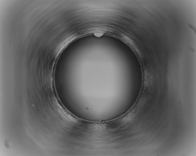 X0000099550802200805161450