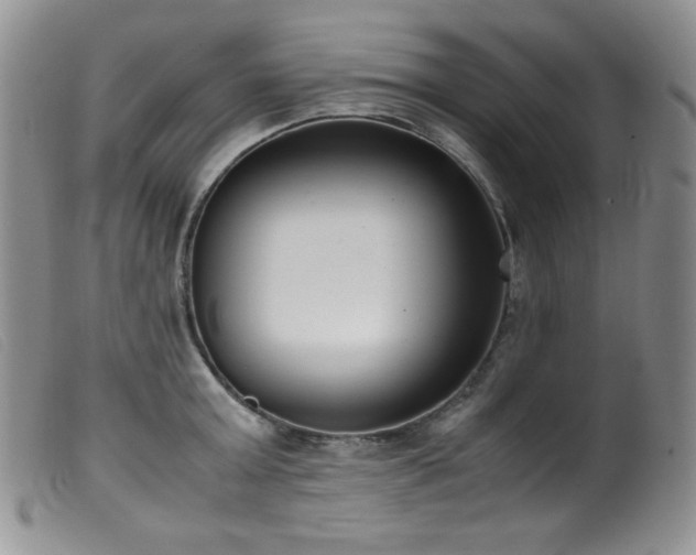 X0000099550803200805161450