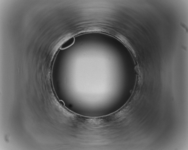 X0000099550805200805161450