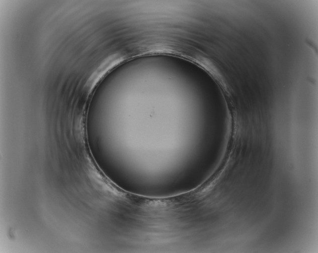 X0000099550806200805161450