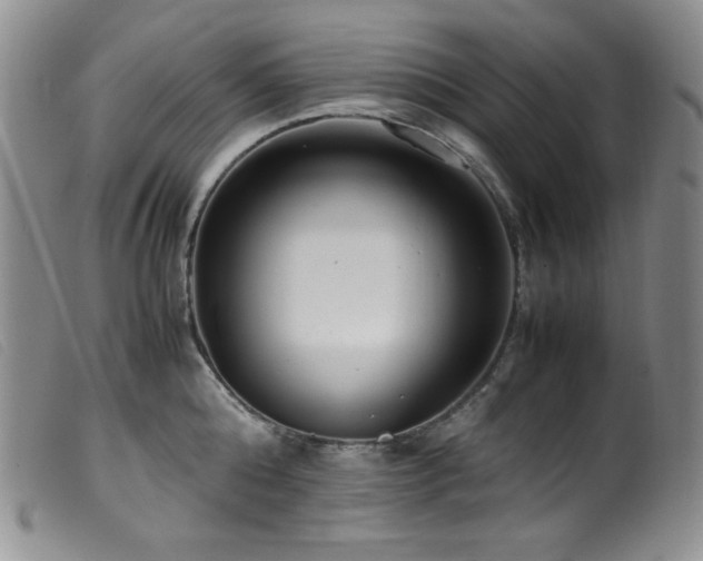X0000099550808200805161450
