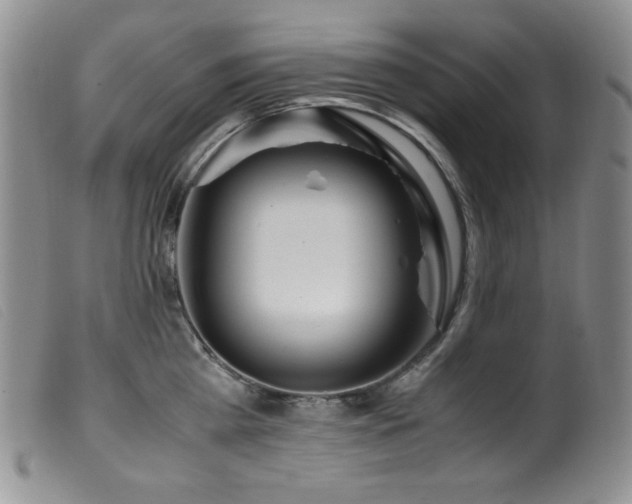 X0000099550809200805161450