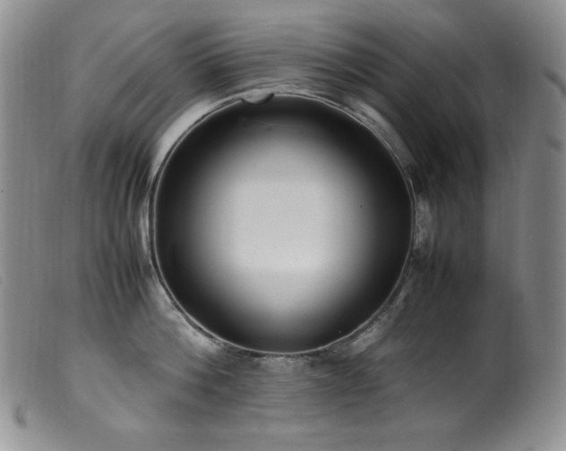 X0000099550812200805161450