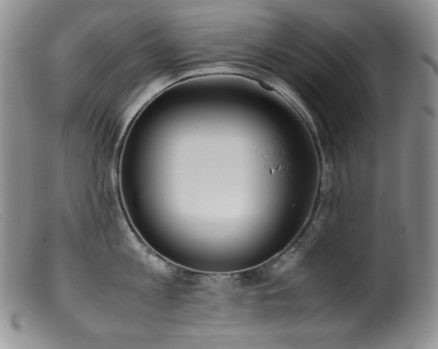 X0000099550813200805161450