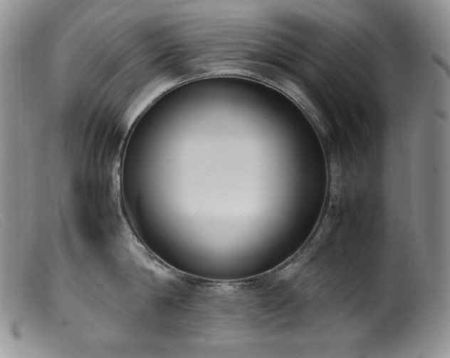 X0000099550814200805161450