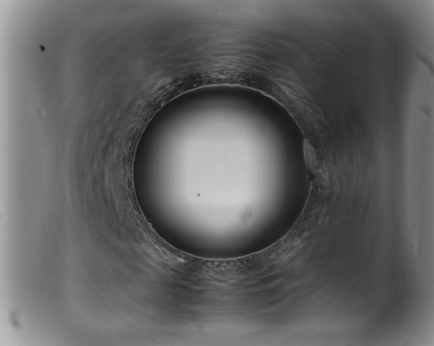 X0000099550817200805161449