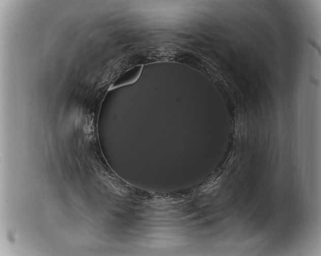 X0000099550818200805161449