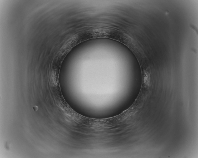 X0000099550819200805161449