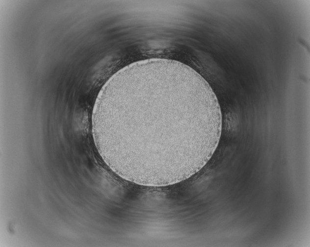 X0000099550820200805161449