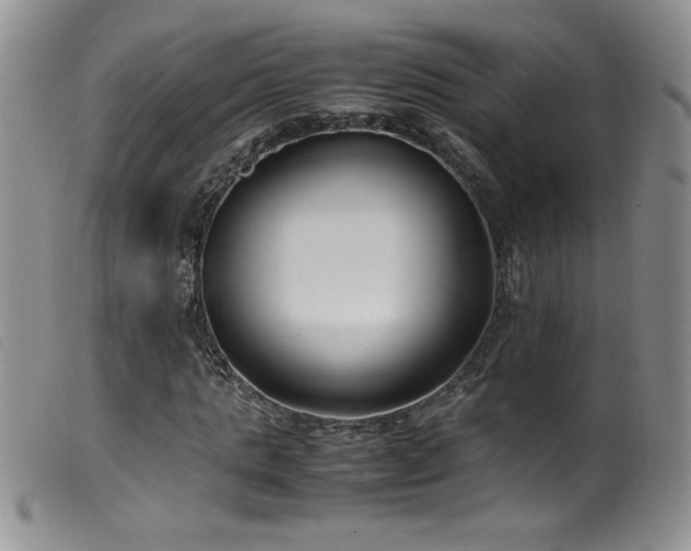 X0000099550821200805161449