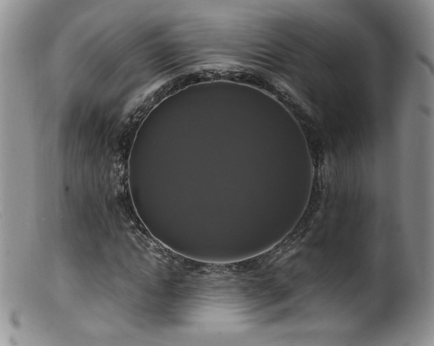 X0000099550822200805161449