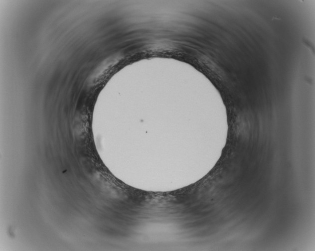 X0000099550824200805161449