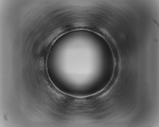 X0000099550825200805161449