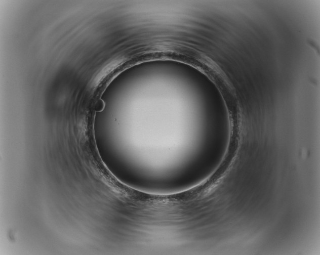 X0000099550826200805161449