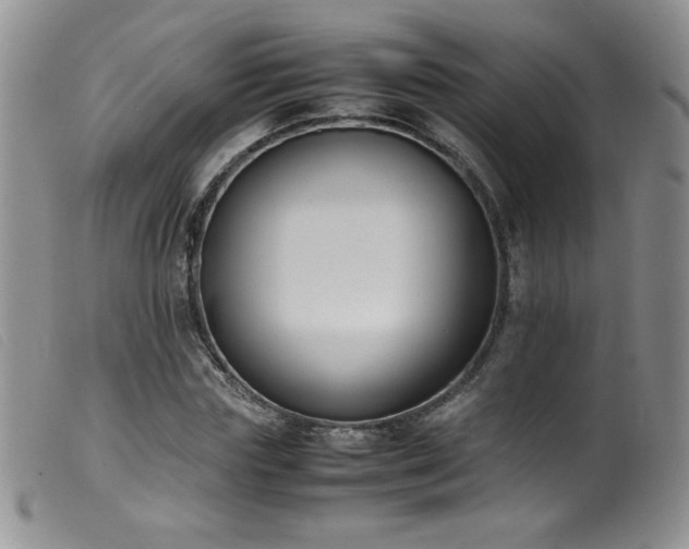 X0000099550827200805161450