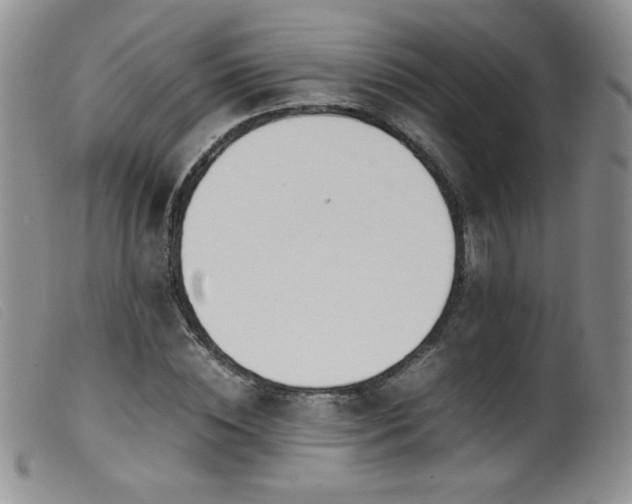 X0000099550828200805161450