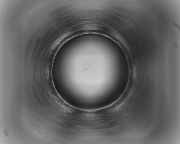 X0000099550829200805161450
