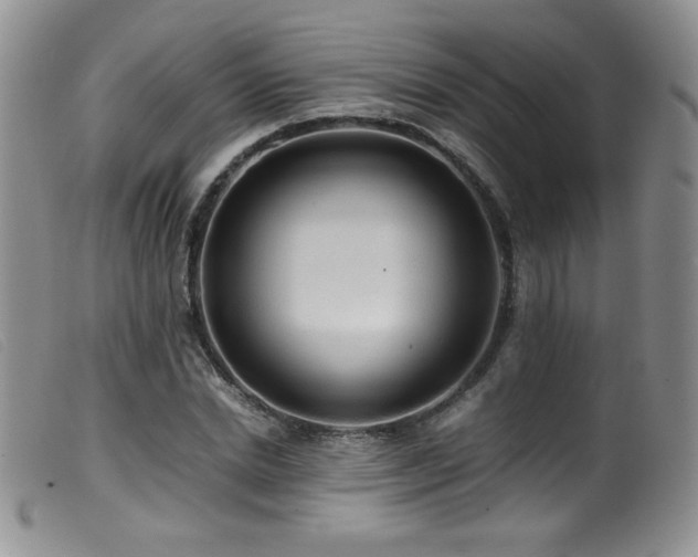 X0000099550830200805161450