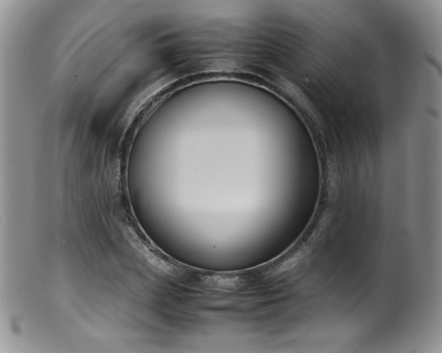 X0000099550831200805161450