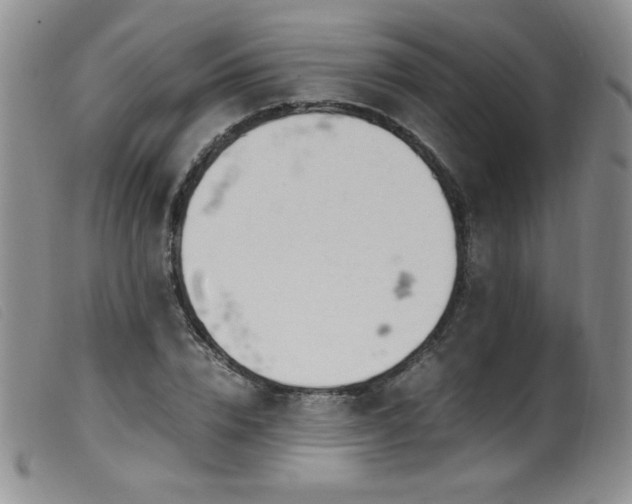 X0000099550832200805161450
