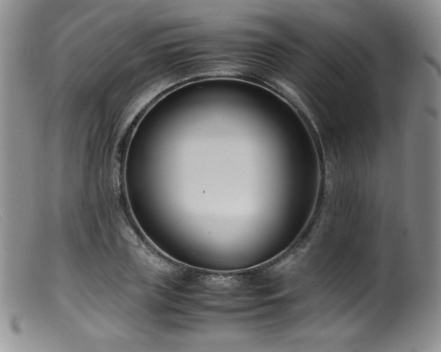 X0000099550835200805161450