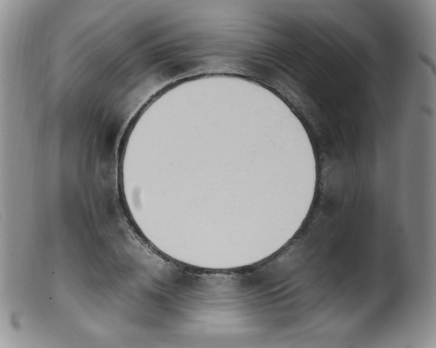 X0000099550836200805161450