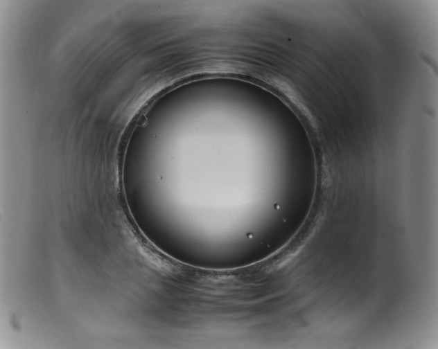 X0000099550837200805161450