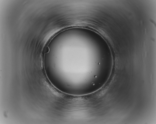 X0000099550838200805161450