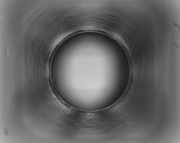 X0000099550839200805161450