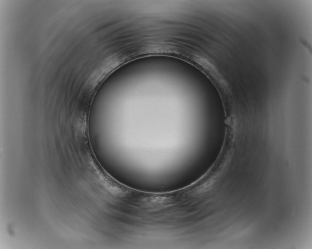 X0000099550841200805161450
