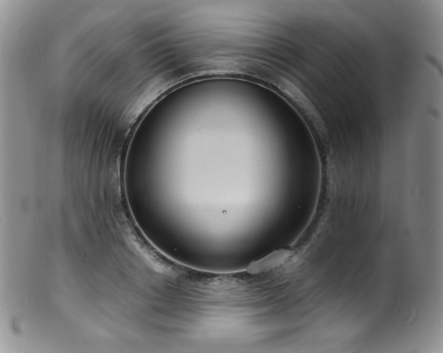 X0000099550842200805161450